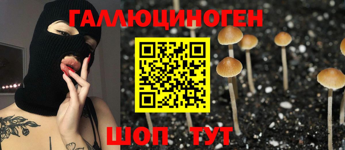 Галлюциногенные грибы мухоморы  Вход с VPN  Галлюциногенные грибы мухоморы  где купить наркотик  Железногорск 