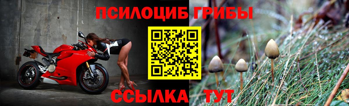 Галлюциногенные грибы GOLDEN TEACHER Железногорск